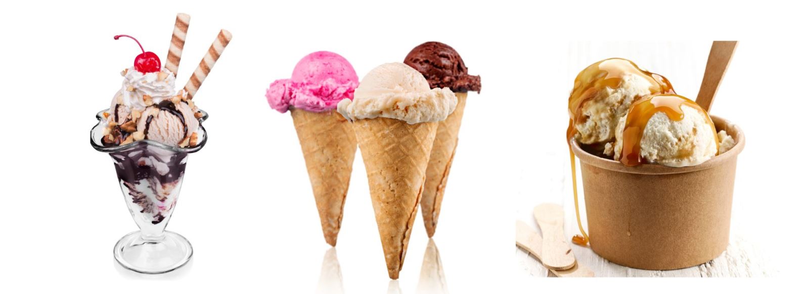 Things to do in Newcastle